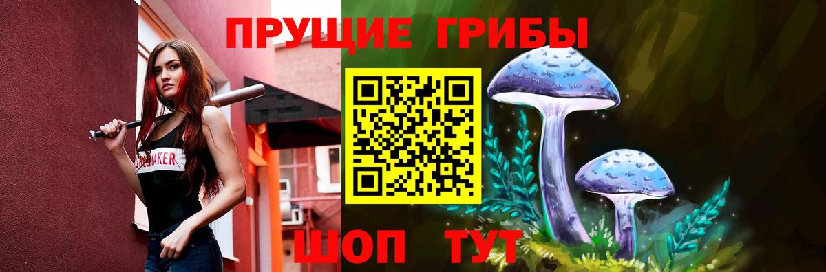 Галлюциногенные грибы Psilocybine cubensis Зерноград